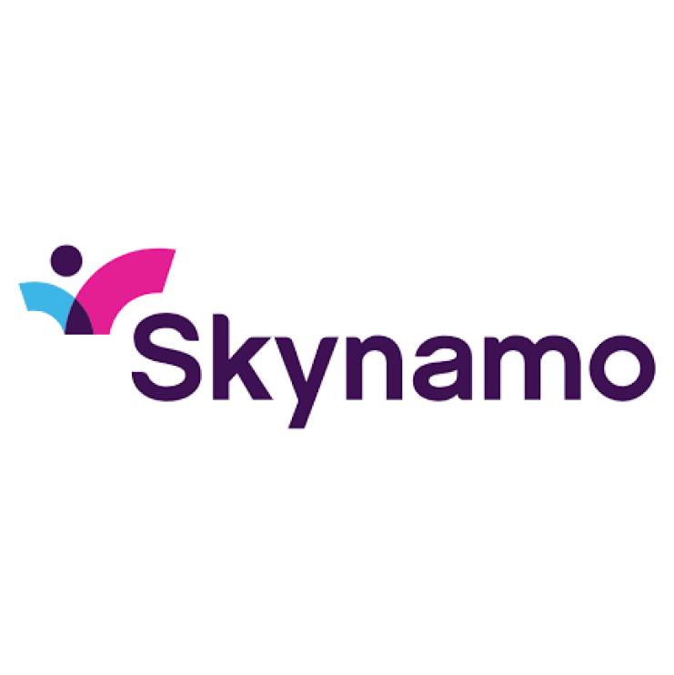 Skynamo logo